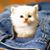 Fabian Eduardo Camacho Herrera's profile image