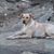 Lynn Huckans's profile image