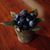 Kathy Perry's profile image