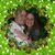 Christina Rastall's profile image