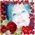 Tina Horton Michie's profile image