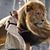 Julie Currie Brown's profile image