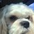 Sandy Hendricks's profile image
