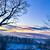 Annette Hartley-White's profile image