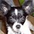 MaryAnne OConnor's profile image