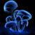 Stephen Piccoine's profile image