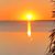 Bobbie Dyer Gough's profile image