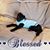 Renee Rhodes Ekedahl's profile image