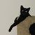 Rodney Mitchell's profile image