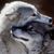 Leslie A Jamison's profile image