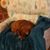 Linda Brown's profile image