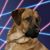 Gregory Strain's profile image