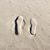 Christine Peterman Bradley's profile image