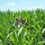 Suzanne Buckley Spelbring's profile image