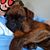 Terese Waarvik Foster's profile image