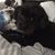 Tilly Rodina's profile image