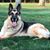 Ron Latone's profile image