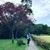 Gail Aduna-Cortes's profile image