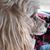 Karen Kirkman Hanckel's profile image