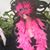 Joy Warshauer's profile image