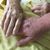 Kathy Sparks Phipps's profile image