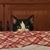 Suzanne M. Griffin's profile image