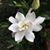 Tina Trivett's profile image