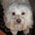 Jamie Elfert Sheppard's profile image