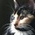 Joyce Brown's profile image