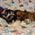 LaVerne Casella's profile image