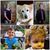 Molly Andrea Hoskinson's profile image