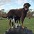 Linda Swihart's profile image