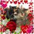 Geri Bennett's profile image