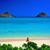 Tracy Cockeram's profile image