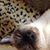 Linda Lucko's profile image