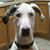 Stephanie Stevens Bowlin's profile image