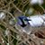 Lynn Margit Kelley's profile image