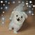 Sharon Kaufman Athanasiou's profile image