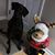 Sherrie Hartman Frohnapfel's profile image