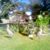 Susan Livengood's profile image