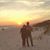 Amanda Westerfield's profile image