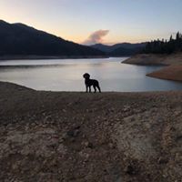 Becky Bublitz's profile image