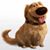 Ramon Godoy's profile image