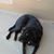 Linda Bichler Willis's profile image