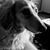 Kitty Adair's profile image