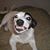 Sharon Stevens's profile image