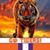 Valerie Charles's profile image