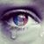 Laurent Bajon's profile image