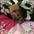 Sandy Smith Warren's profile image