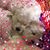 Nancy Cronce's profile image